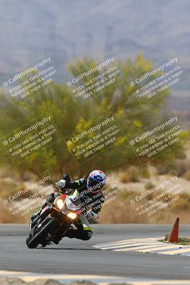 media/Apr-10-2022-SoCal Trackdays (Sun) [[f104b12566]]/Turn 5 Tree of Life (1040am)/